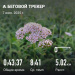  Загрузка от 07.07.2025 00:00:00 Молокоедова Виктория 