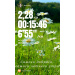  Hochgeladen am 07.07.2025 00:00:00Курицина Надежда 