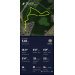  Hochgeladen am 08.07.2025 00:00:00Ипполитова Ирина 