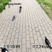  Hochgeladen am 09.07.2025 00:00:00Любовь Александровна 