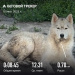  Загрузка от 10.07.2025 00:00:00 Зиянбаева Анна 
