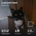  Hochgeladen am 22.07.2025 00:00:00Сидорова Майя 