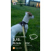  Hochgeladen am 22.07.2025 00:00:00Царикова Елена 