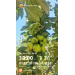  Hochgeladen am 24.07.2025 00:00:00Забродина Юлия 