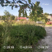  Hochgeladen am 27.07.2025 00:00:00Любовь Александровна 