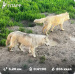  Hochgeladen am 31.07.2025 00:00:00Зиянбаева Анна 