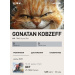  Hochgeladen am 31.07.2025 00:00:00Кобзев Евгений 