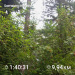  Hochgeladen am 02.08.2025 00:00:00Любовь Александровна 