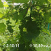  Hochgeladen am 06.08.2025 00:00:00Любовь Александровна 