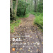  Hochgeladen am 06.08.2025 00:00:00Головина Елизавета 