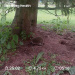  Hochgeladen am 08.08.2025 00:00:00Любовь Александровна 