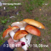  Hochgeladen am 17.08.2025 00:00:00Любовь Александровна 