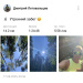  Hochgeladen am 17.08.2025 00:00:00Летовальцев Дмитрий 