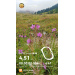  Hochgeladen am 28.08.2025 00:00:00Забродина Юлия 