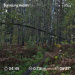  Hochgeladen am 31.08.2025 00:00:00Кайдаш Полина 