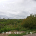  Hochgeladen am 01.09.2025 00:00:00Любовь Александровна 