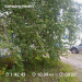  Hochgeladen am 02.09.2025 00:00:00Любовь Александровна 