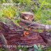  Hochgeladen am 03.09.2025 00:00:00Любовь Александровна 
