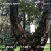  Hochgeladen am 03.09.2025 00:00:00Колупаева Екатерина 
