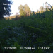  Hochgeladen am 06.09.2025 00:00:00Любовь Александровна 