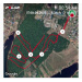  Hochgeladen am 08.09.2025 00:00:00Кырова Ольга 
