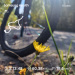  Hochgeladen am 10.09.2025 00:00:00Бабашкина Светлана 