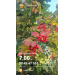  Hochgeladen am 16.09.2025 00:00:00Забродина Юлия 