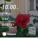  Hochgeladen am 23.09.2025 00:00:00Забродина Юлия 