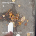  Hochgeladen am 29.09.2025 00:00:00Любовь Александровна 