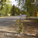  Hochgeladen am 29.09.2025 00:00:00Любовь Александровна 