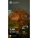  Hochgeladen am 30.09.2025 00:00:00Царикова Елена 