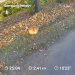  Hochgeladen am 03.10.2025 00:00:00Любовь Александровна 