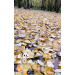  Hochgeladen am 12.10.2025 00:00:00Головина Елизавета 