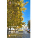  Hochgeladen am 12.10.2025 00:00:00Георгиян Ирина 