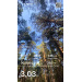  Hochgeladen am 13.10.2025 00:00:00Абакумова Юлия 
