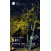  Hochgeladen am 12.10.2025 00:00:00Денисова Юлия 