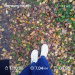  Hochgeladen am 15.10.2025 00:00:00Любовь Александровна 