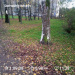  Hochgeladen am 21.10.2025 00:00:00Любовь Александровна 