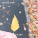  Hochgeladen am 20.10.2025 00:00:00Колупаева Екатерина 