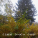  Hochgeladen am 26.10.2025 00:00:00Любовь Александровна 