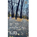  Hochgeladen am 26.10.2025 00:00:00Курочка Дмитрий 