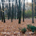  Hochgeladen am 27.10.2025 00:00:00Колупаева Екатерина 