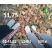  Hochgeladen am 28.10.2025 00:00:00Проскурина Эльвира 