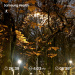  Hochgeladen am 31.10.2025 00:00:00Колупаева Екатерина 