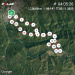  Hochgeladen am 03.11.2025 00:00:00Мирошникова Светлана 
