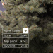  Загрузка от 06.11.2025 00:00:00 Корнилова Алена 