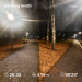  Hochgeladen am 07.11.2025 00:00:00Колупаева Екатерина 