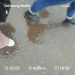  Hochgeladen am 08.11.2025 00:00:00Любовь Александровна 