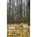  Hochgeladen am 09.11.2025 00:00:00Головина Елизавета 