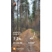  Hochgeladen am 11.11.2025 00:00:00Романова Анастасия 